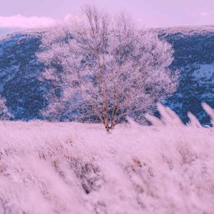 دانلود آهنگ تورو دیدم خدا خندید من از عشق تو حظ کردم